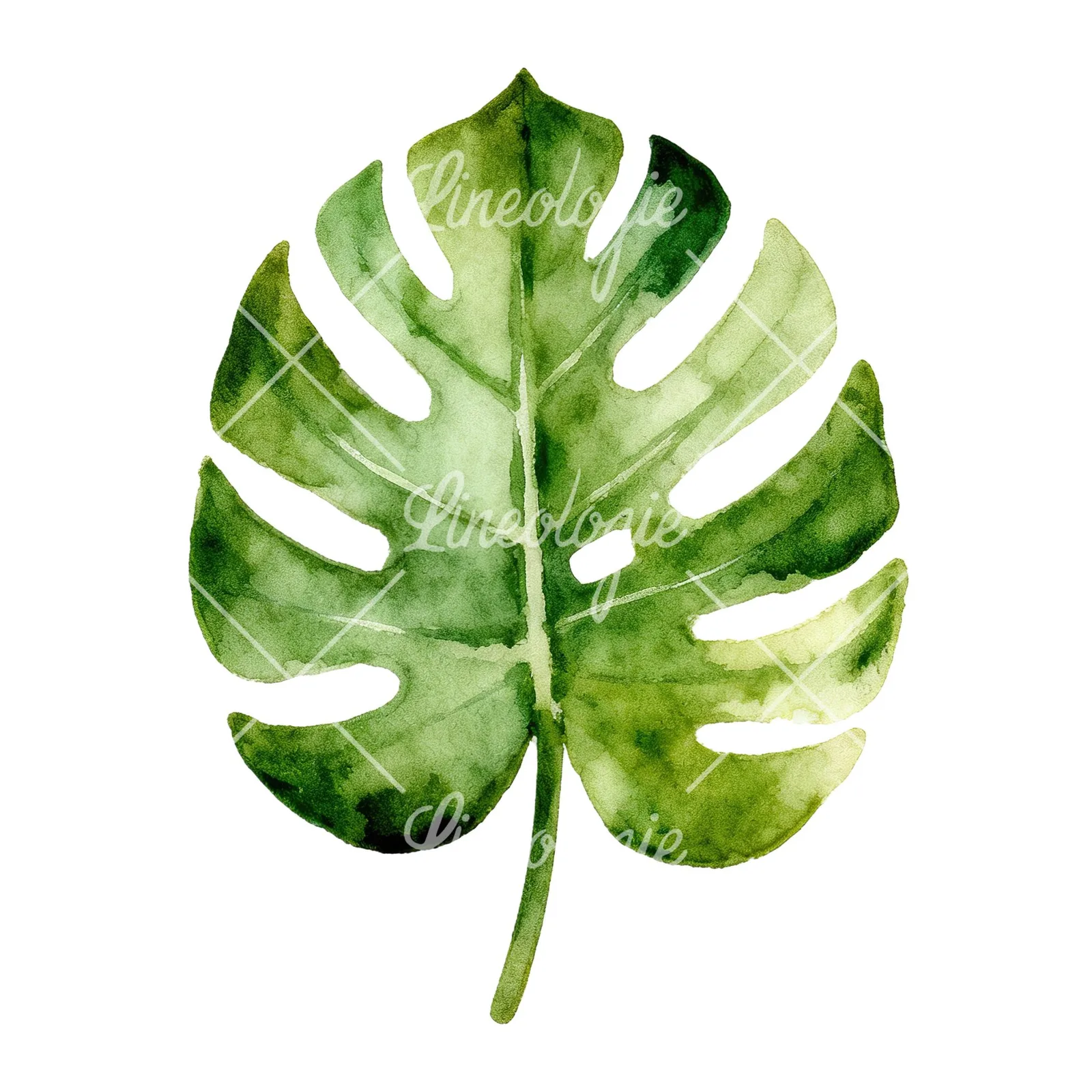 Watercolor slender and broad palm leaf cluster clipart 6 of 9 on a white background (JPG)