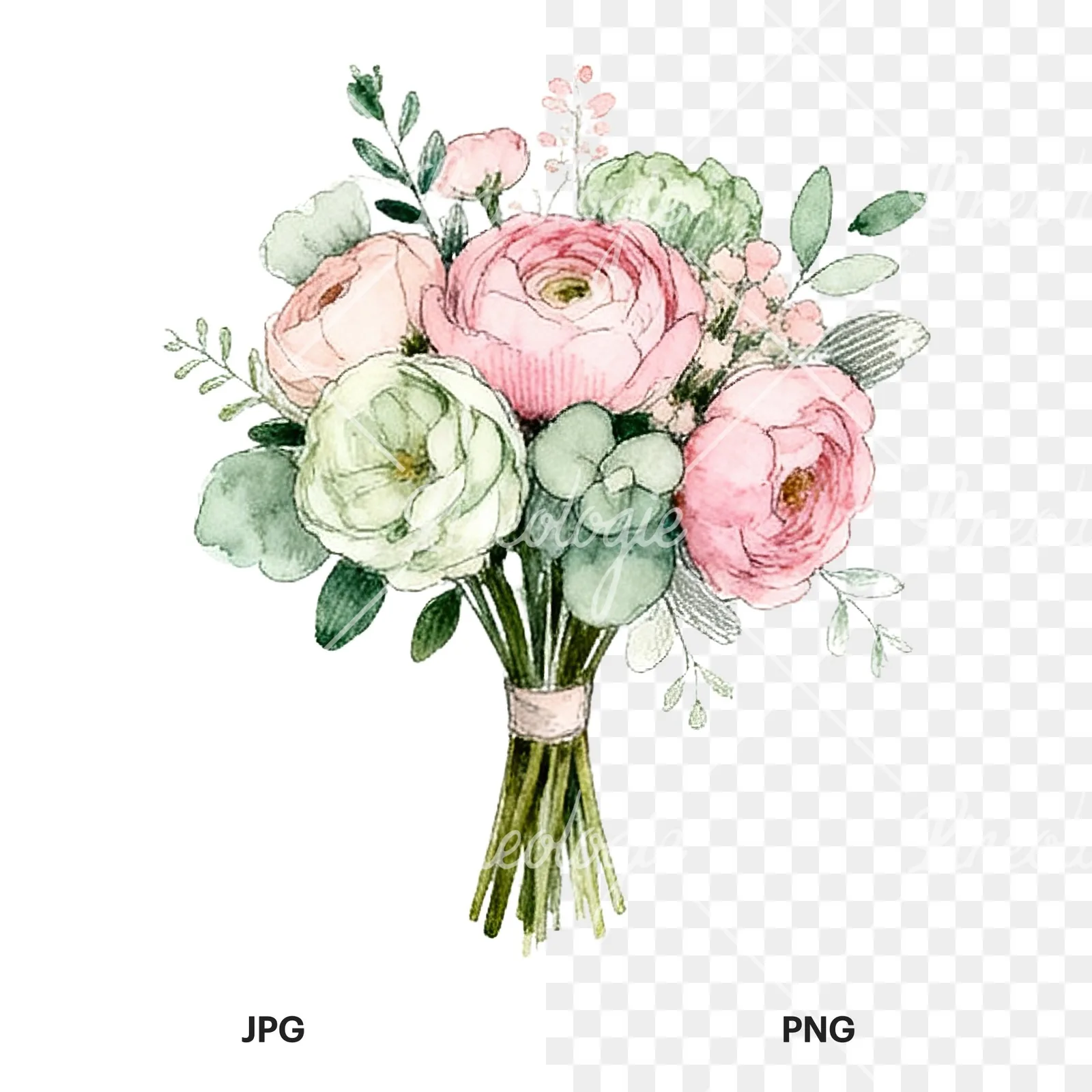 Watercolor pink and sage green wedding bouquet clipart 5 of 9, as a JPG on white and a transparent PNG