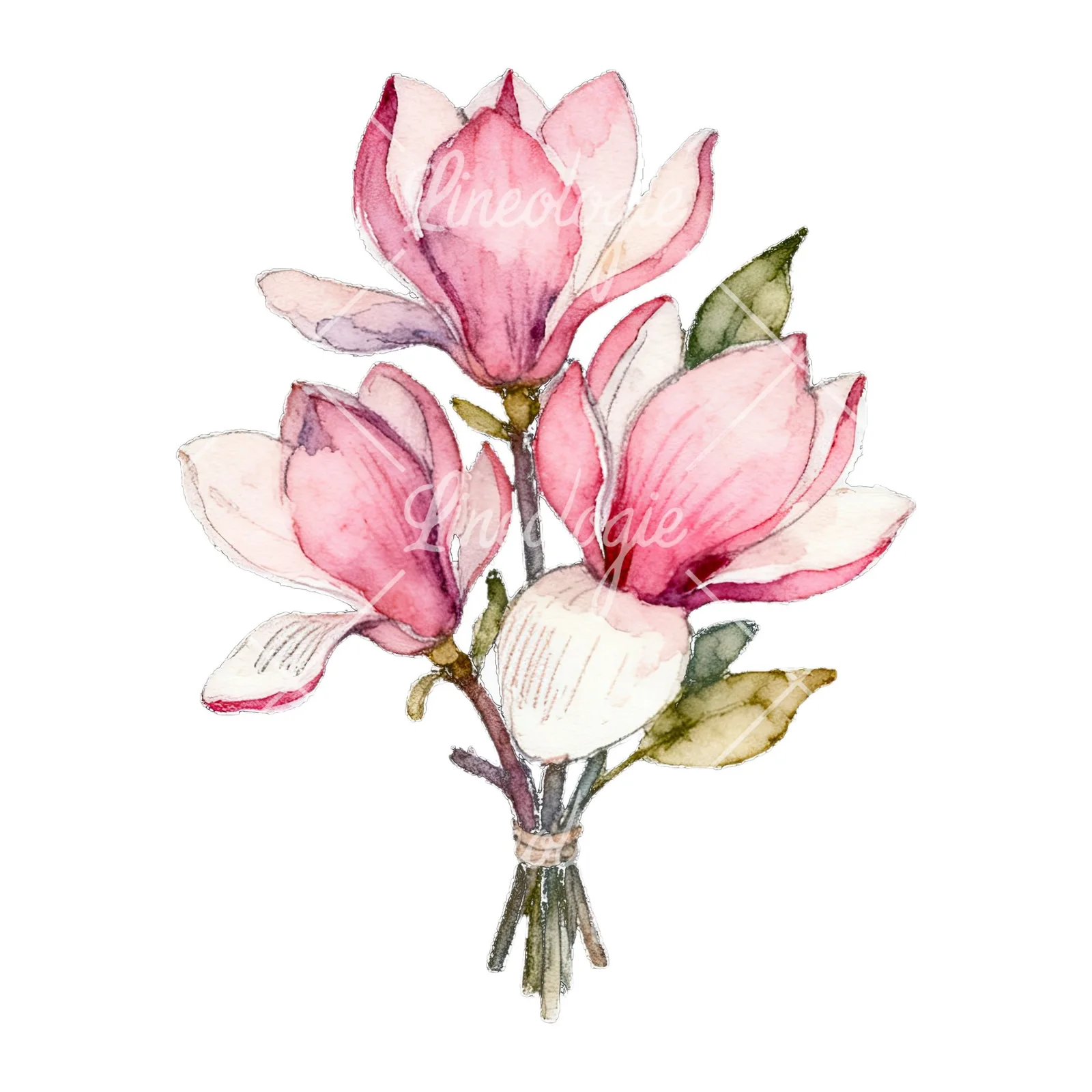 Watercolor loose pink magnolia bouquet clipart 5 of 9 on a white background (JPG)
