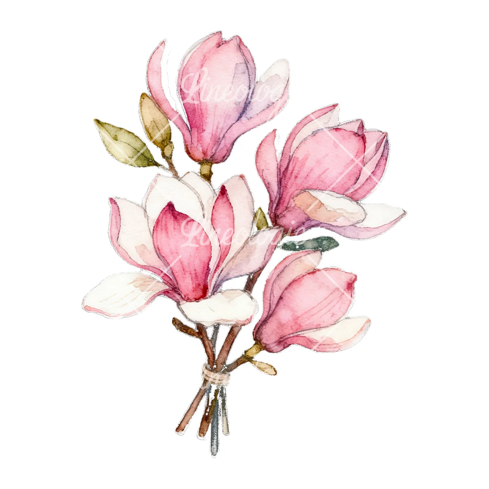 Watercolor loose pink magnolia bouquet clipart 7 of 9 on a white background (JPG)
