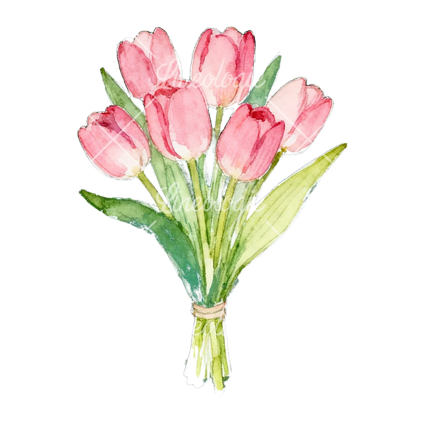 Watercolor loose pink tulip bouquet clipart 1 of 9 on a white background (JPG)