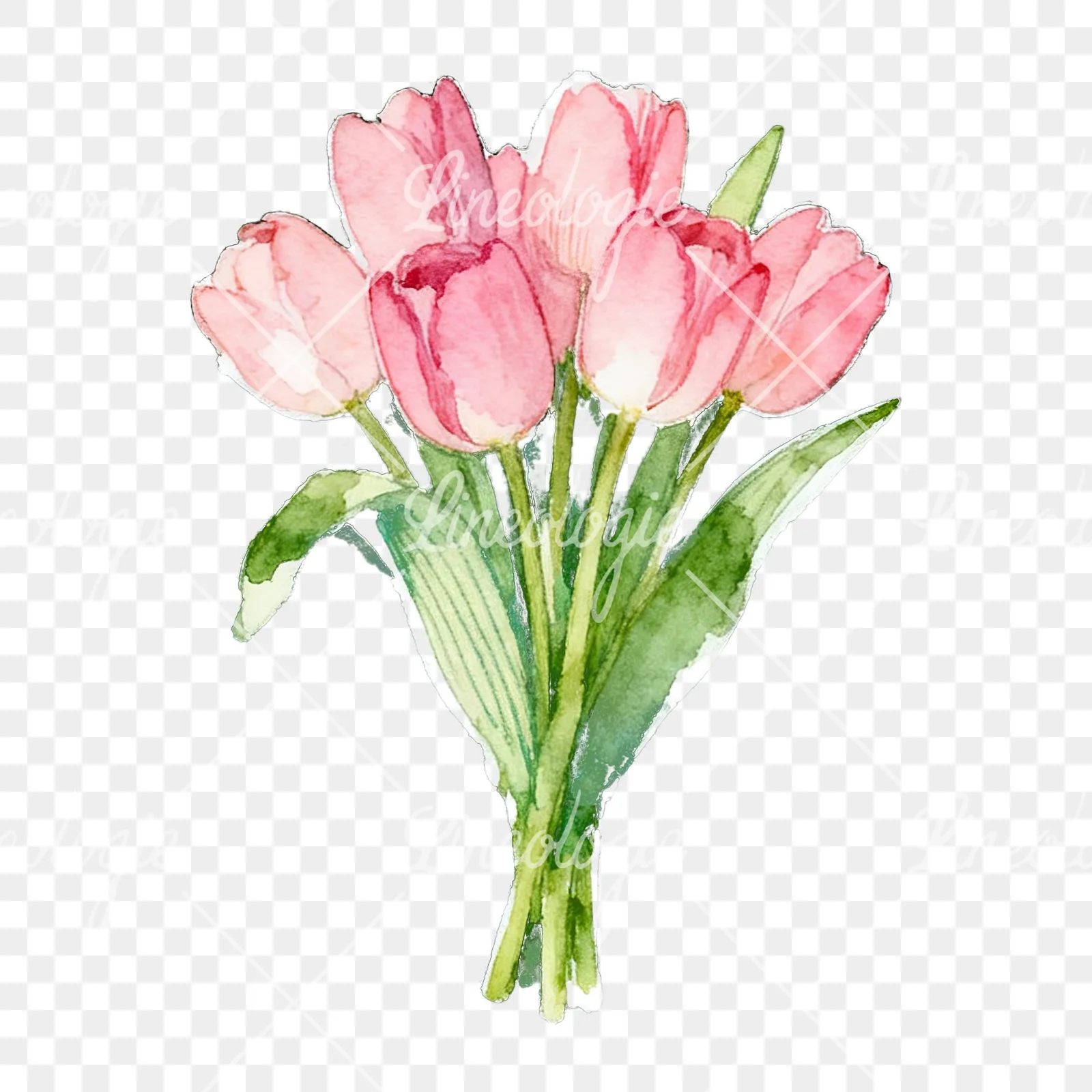 Watercolor loose pink tulip bouquet clipart 2 of 9 on a transparent background (PNG)