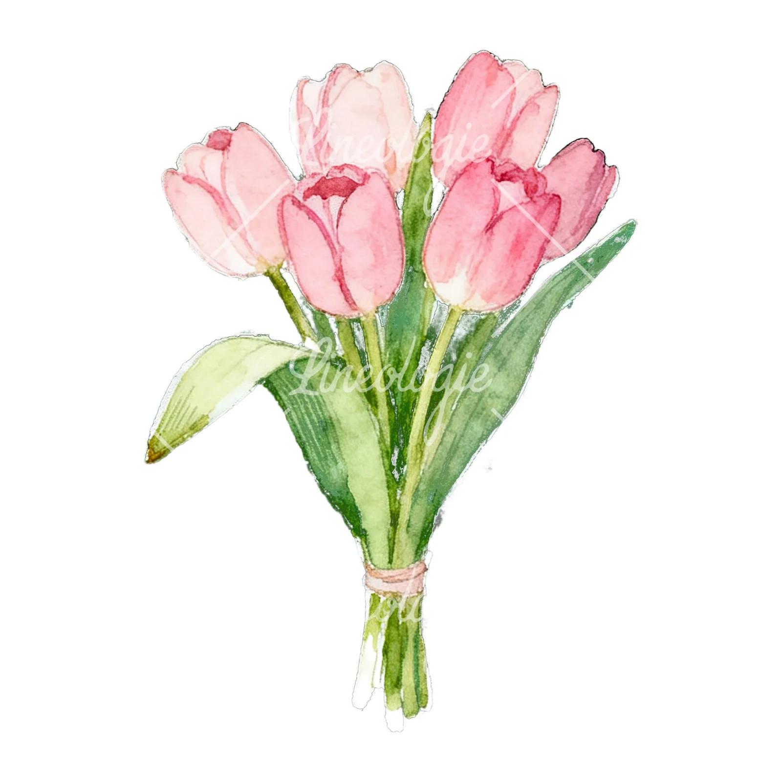 Watercolor loose pink tulip bouquet clipart 3 of 9 on a white background (JPG)