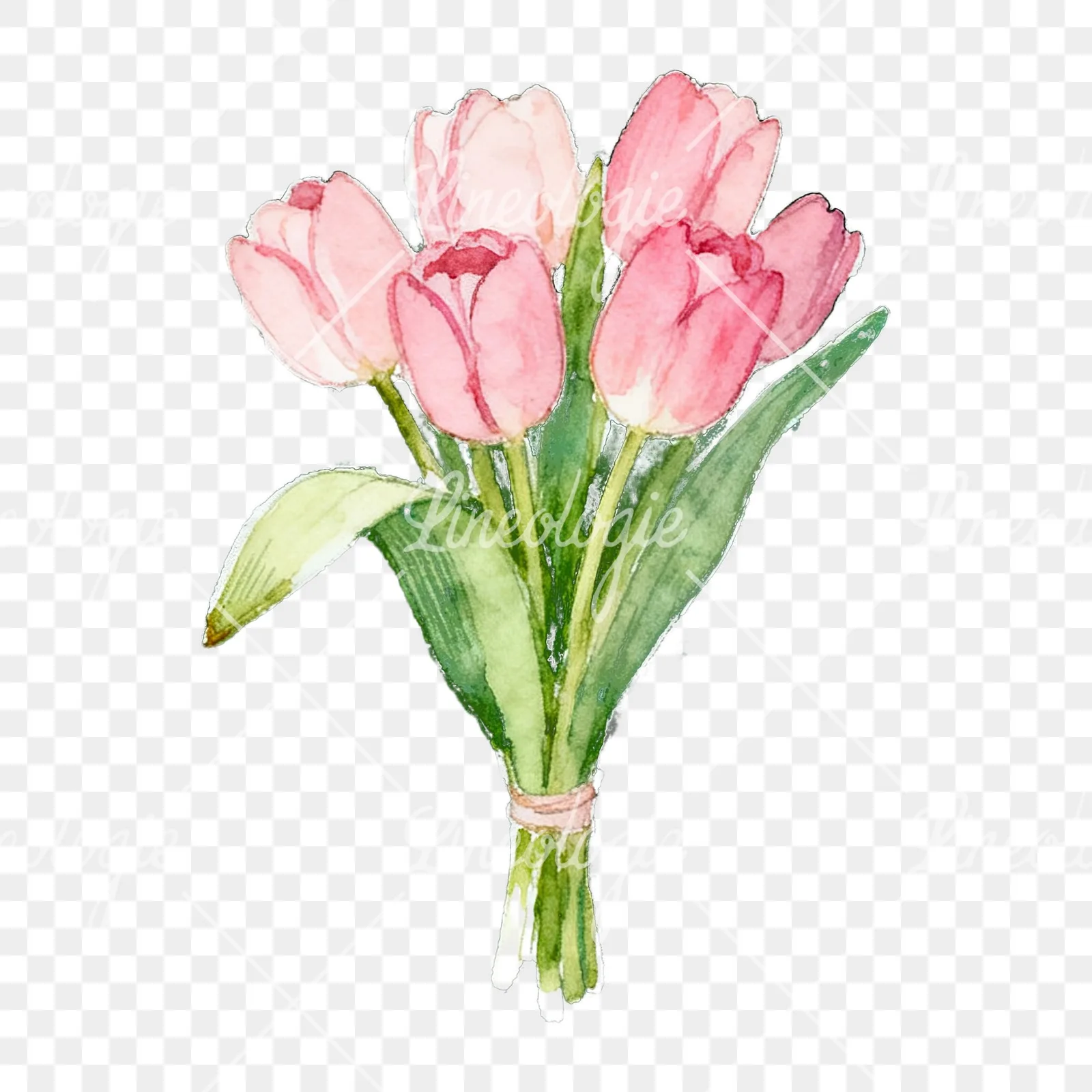 Watercolor loose pink tulip bouquet clipart 3 of 9 on a transparent background (PNG)