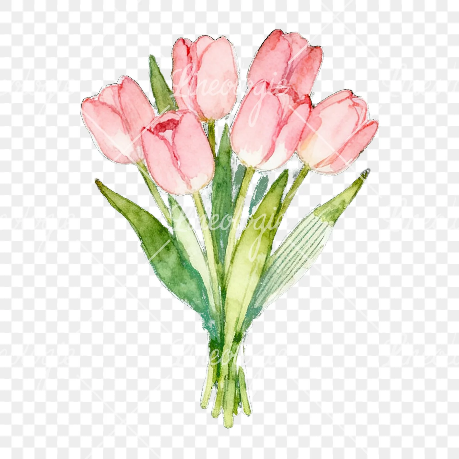 Watercolor loose pink tulip bouquet clipart 4 of 9 on a transparent background (PNG)
