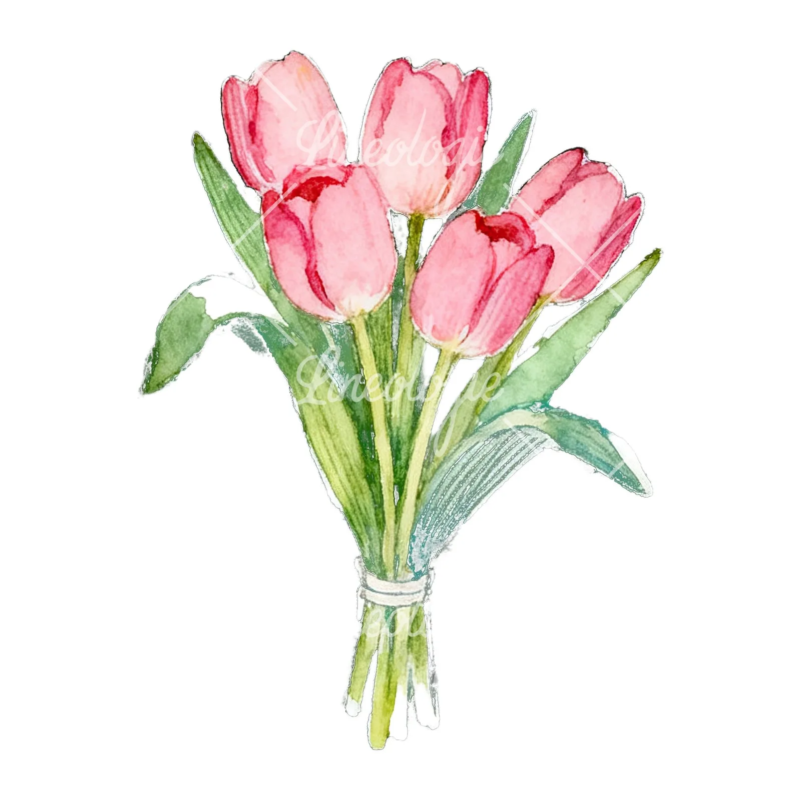 Watercolor loose pink tulip bouquet clipart 7 of 9 on a white background (JPG)