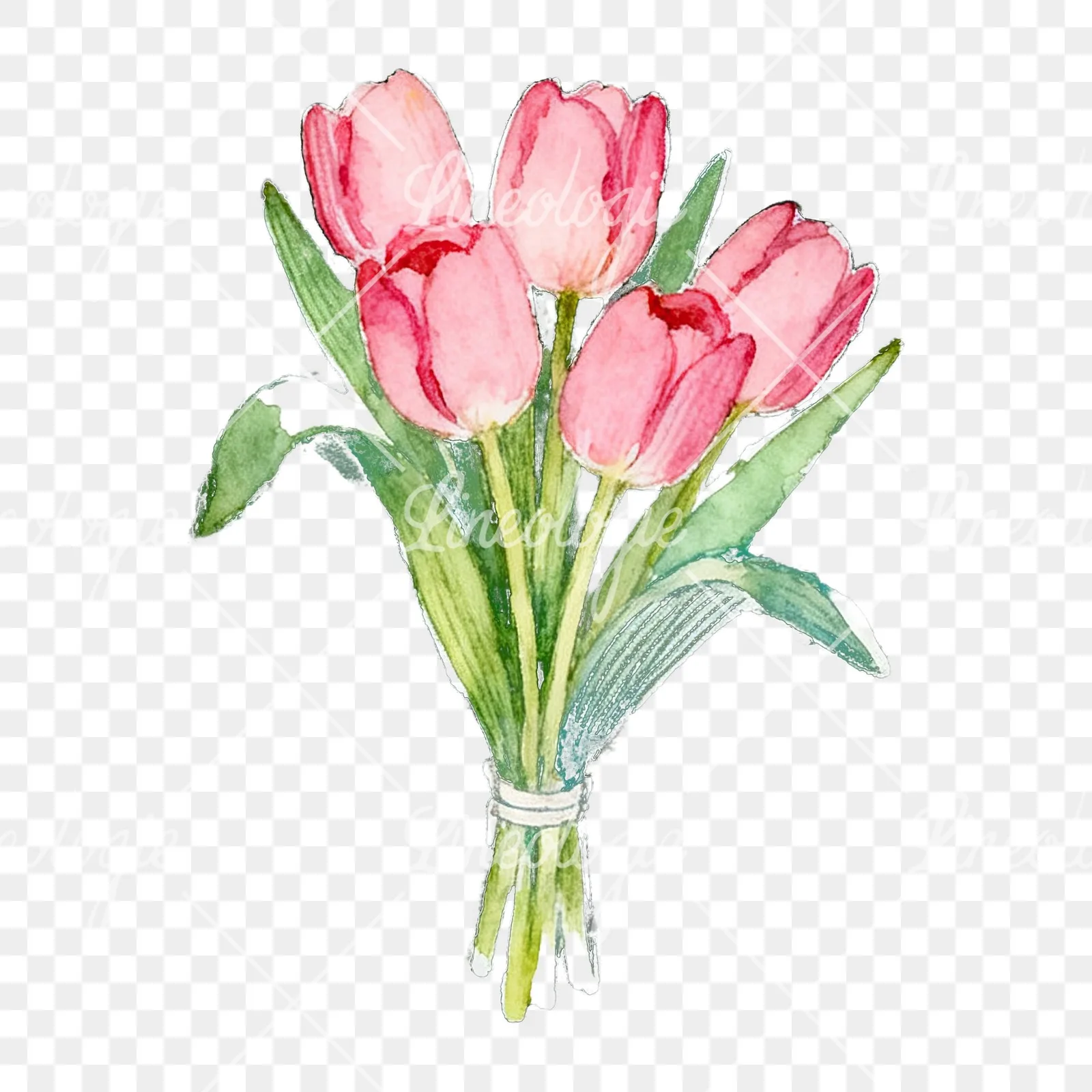 Watercolor loose pink tulip bouquet clipart 7 of 9 on a transparent background (PNG)