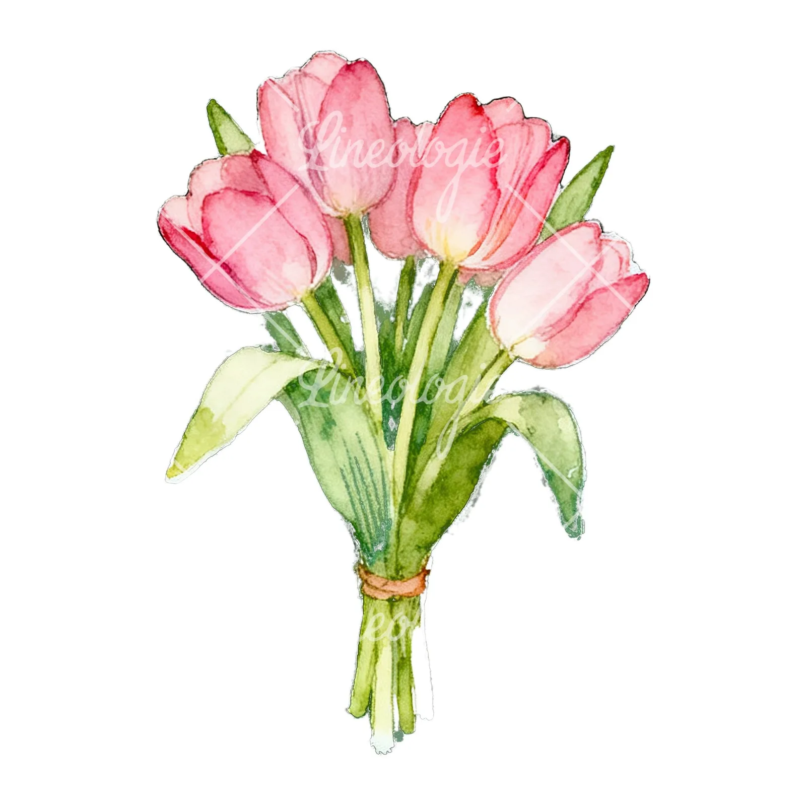 Watercolor loose pink tulip bouquet clipart 8 of 9 on a white background (JPG)