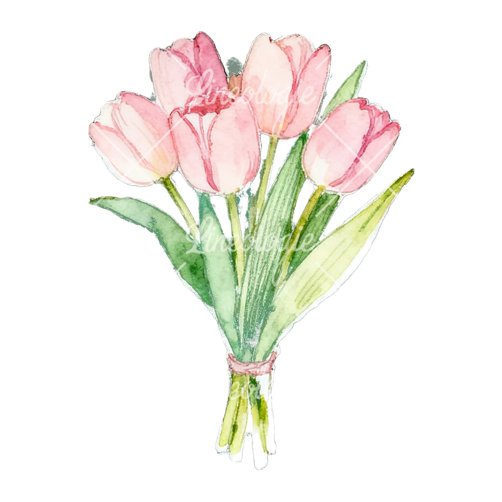 Watercolor loose pink tulip bouquet clipart 9 of 9 on a white background (JPG)