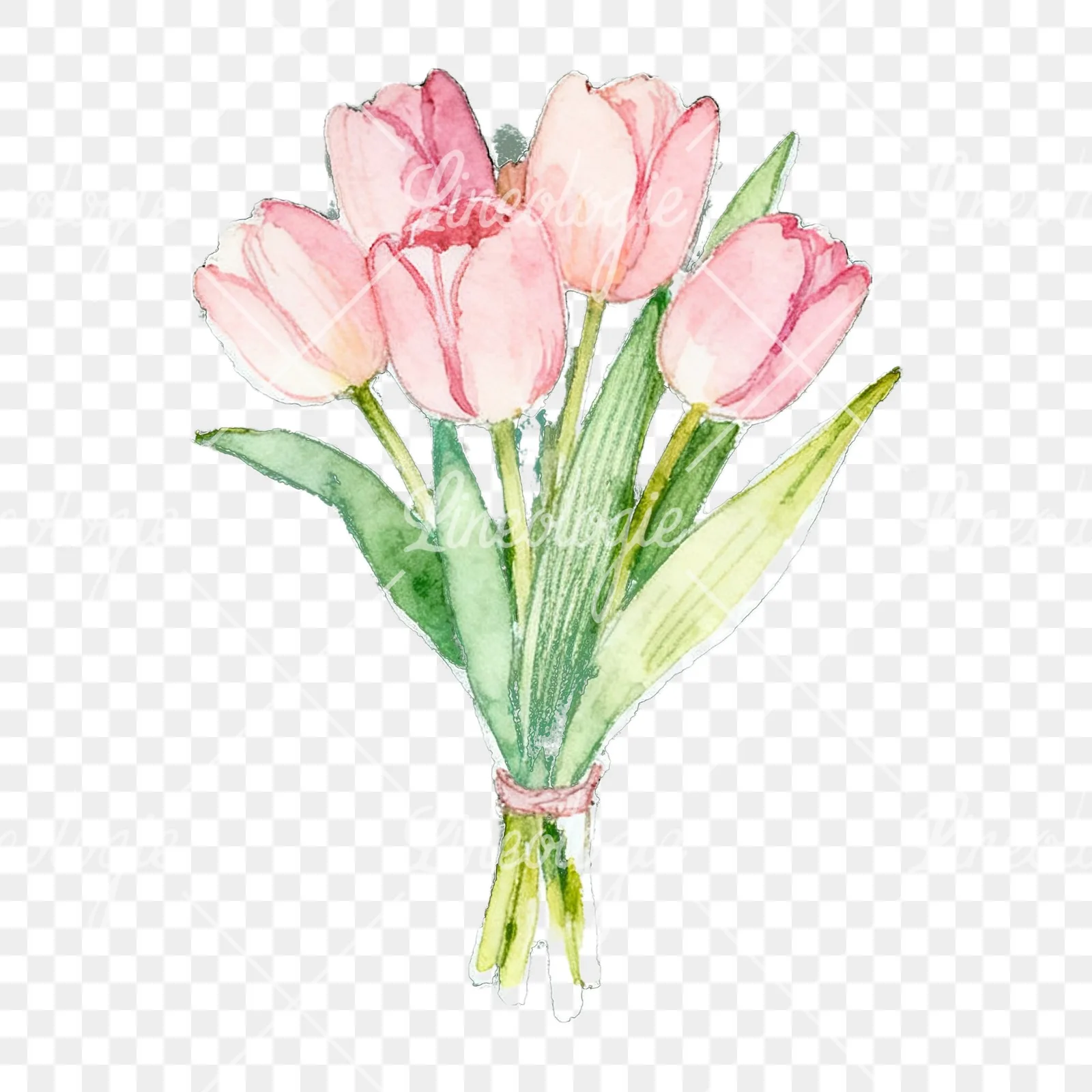 Watercolor loose pink tulip bouquet clipart 9 of 9 on a transparent background (PNG)