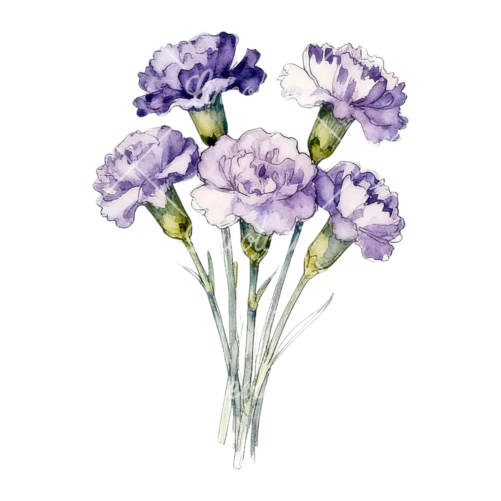 Watercolor light purple carnation bouquet clipart 9 of 9 on a white background (JPG)