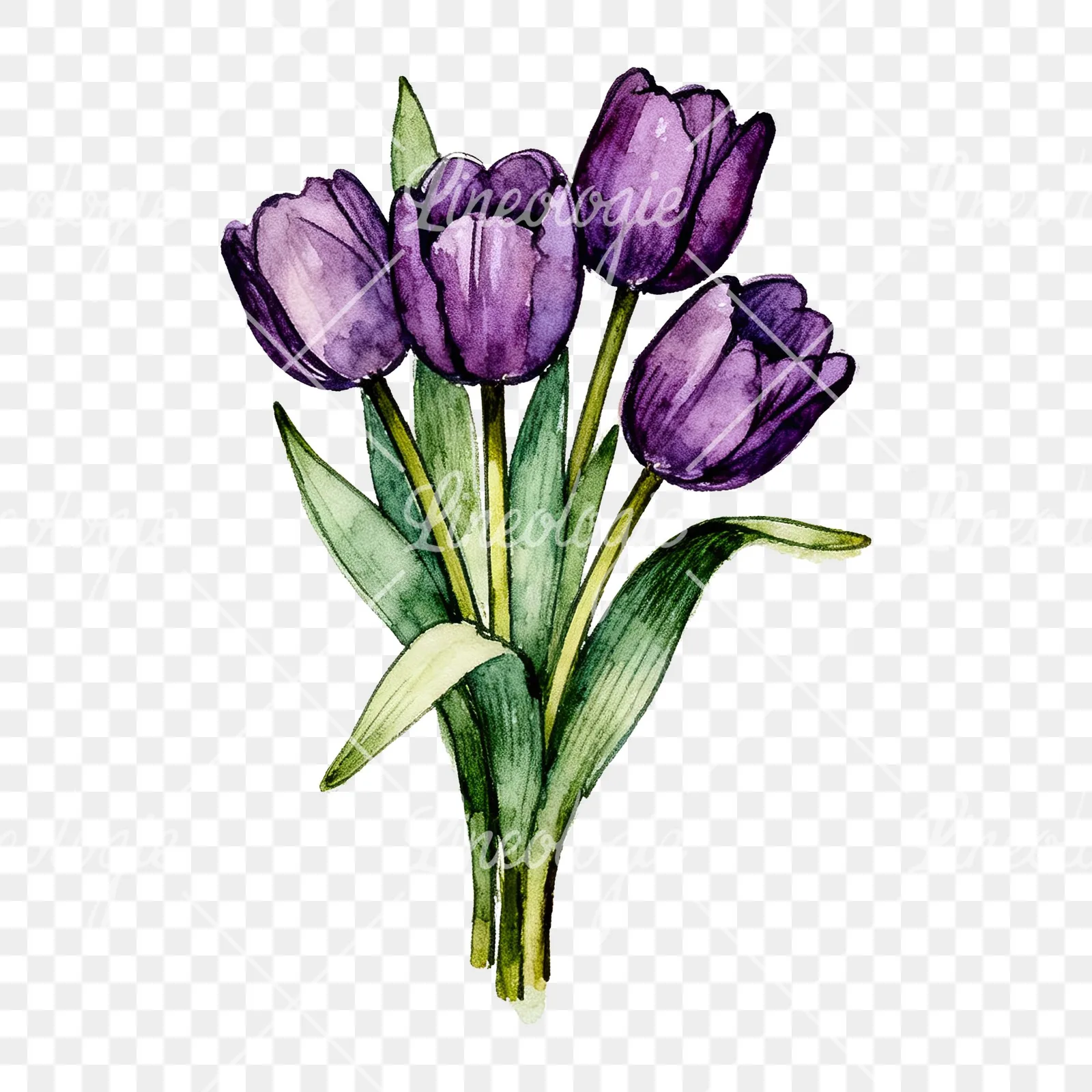 Watercolor tight purple tulip bouquet clipart 5 of 9 on a transparent background (PNG)