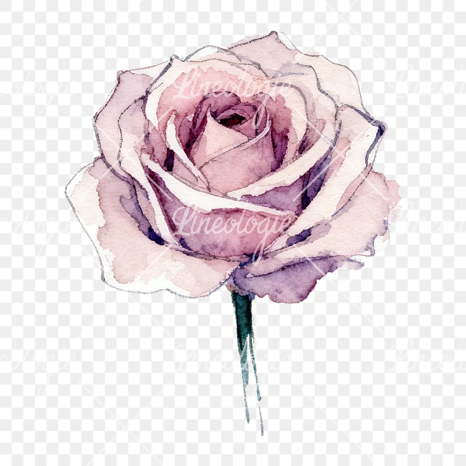 Watercolor purple and peach rose clipart 1 of 9 on a transparent background (PNG)