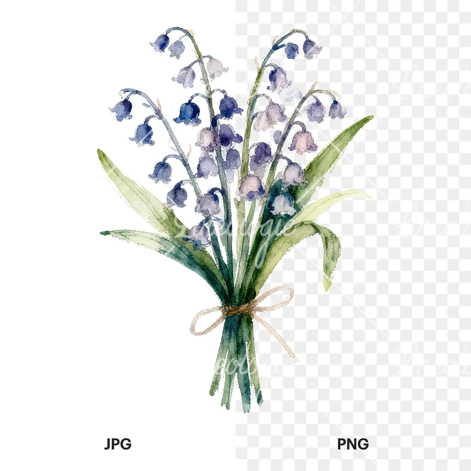 Watercolor spring flower bouquet clipart 5 of 9, as a JPG on white and a transparent PNG