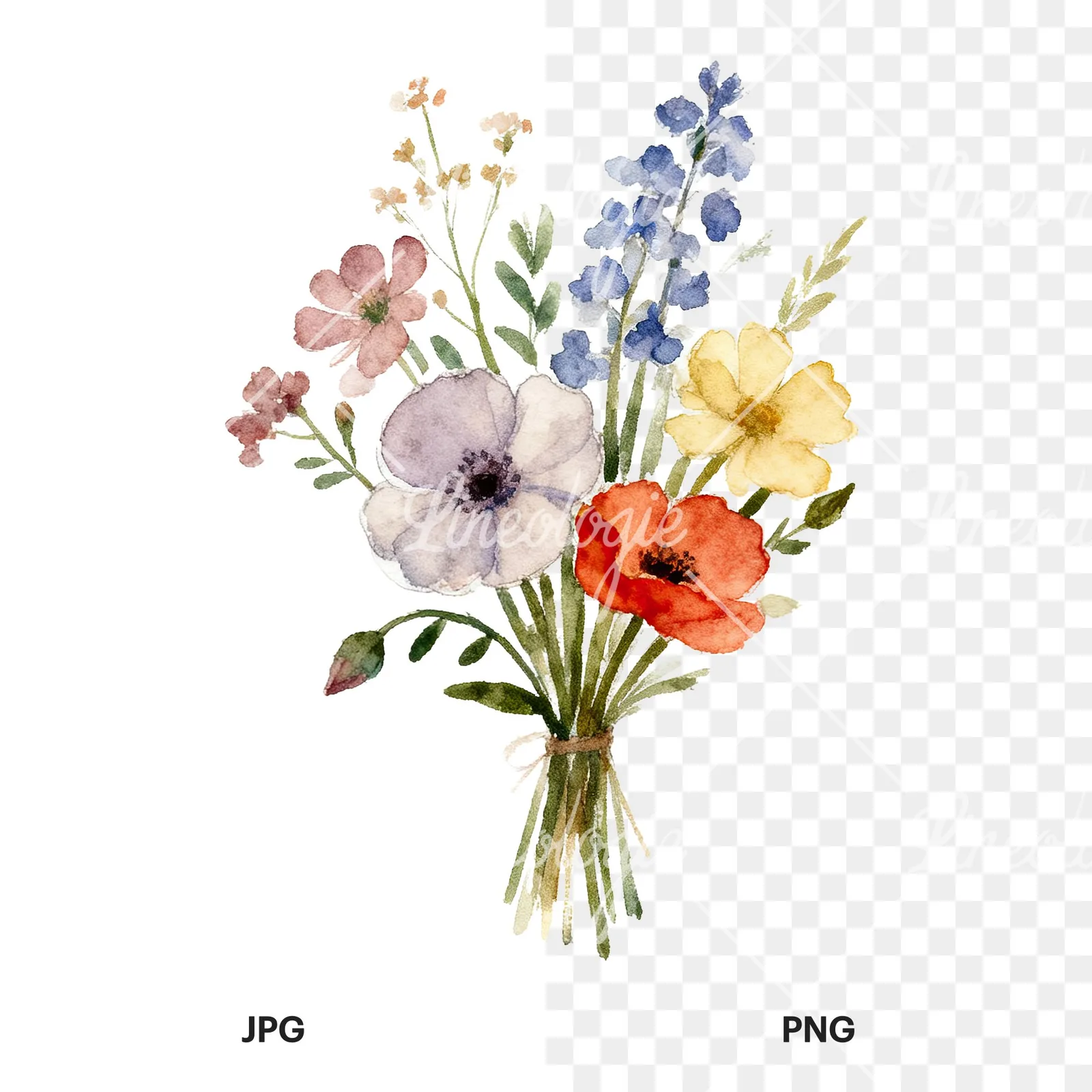 Watercolor summer meadow bouquet with cornflowers clipart 3 of 9, as a JPG on white and a transparent PNG