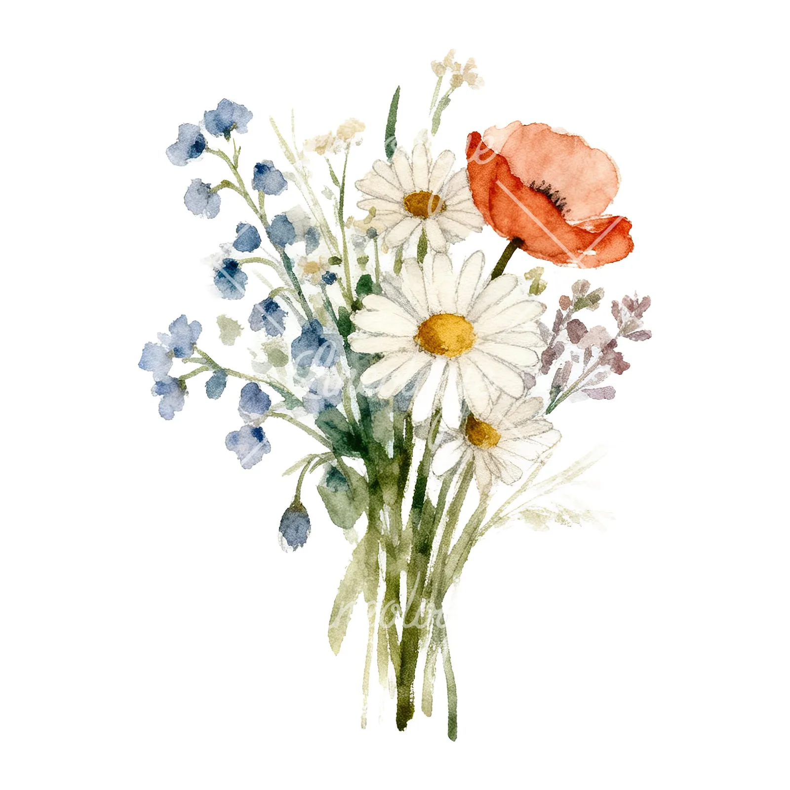 Watercolor summer meadow bouquet with cornflowers clipart 8 of 9 on a white background (JPG)