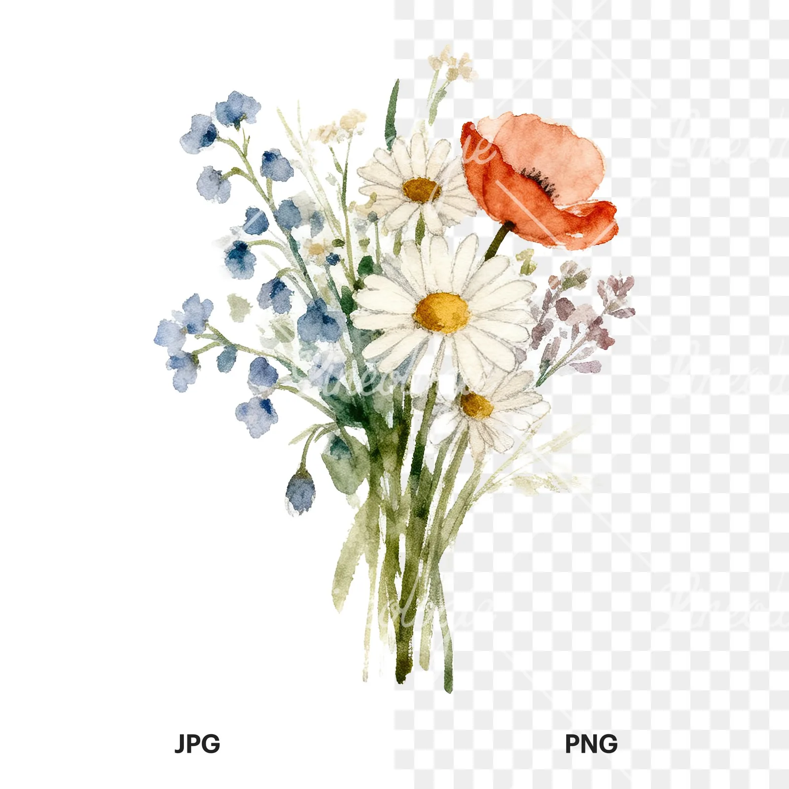 Watercolor summer meadow bouquet with cornflowers clipart 8 of 9, as a JPG on white and a transparent PNG