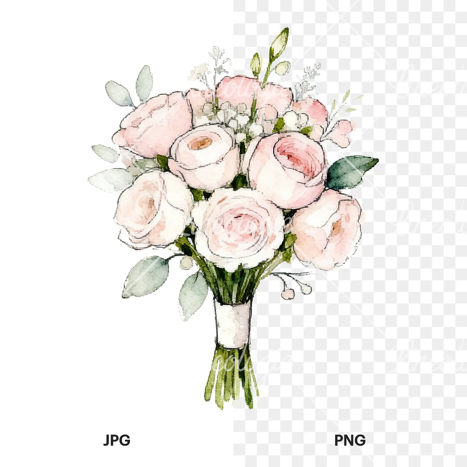 Watercolor white and pale pink rose wedding bouquet clipart 6 of 9, as a JPG on white and a transparent PNG