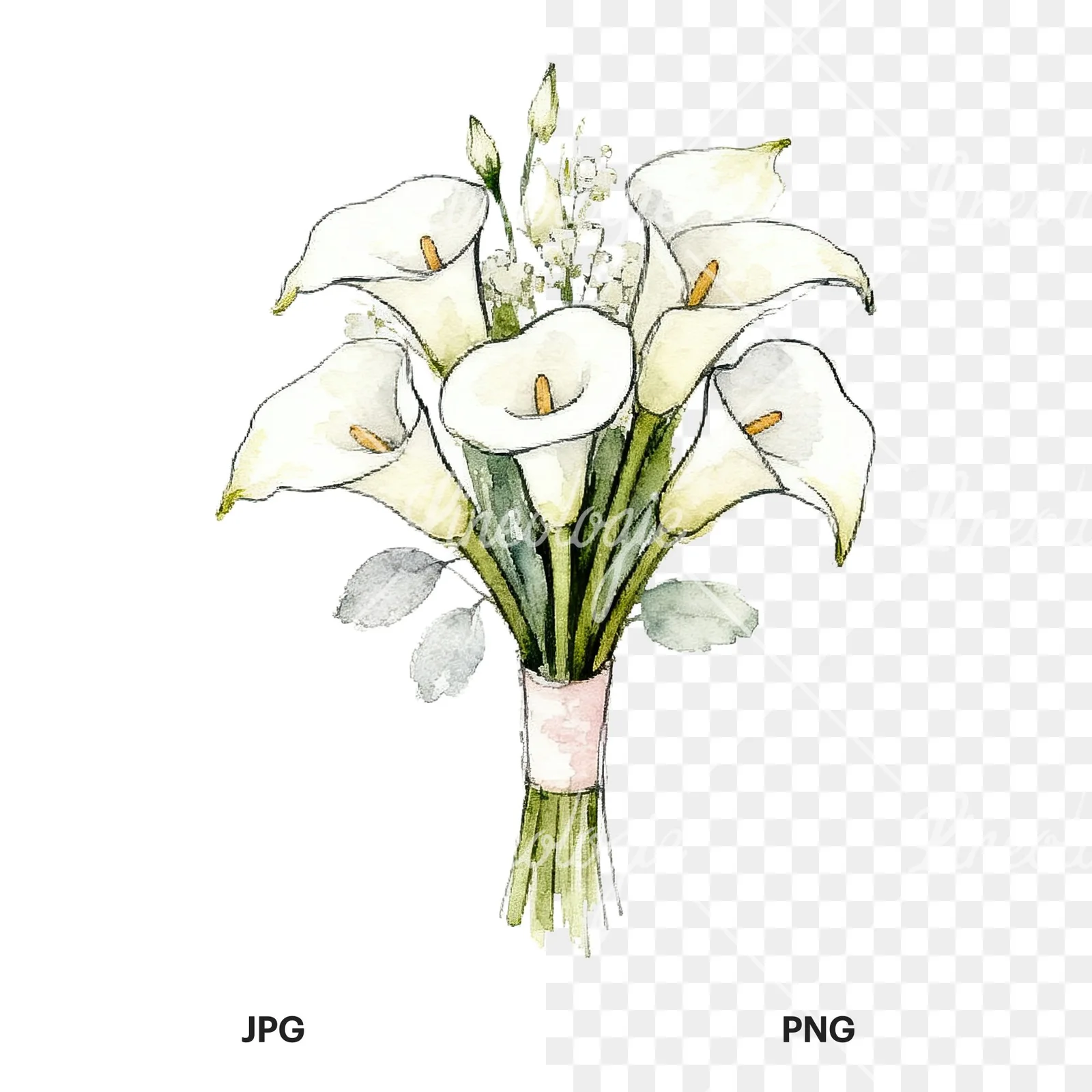 Watercolor white and pale pink rose wedding bouquet clipart 9 of 9, as a JPG on white and a transparent PNG