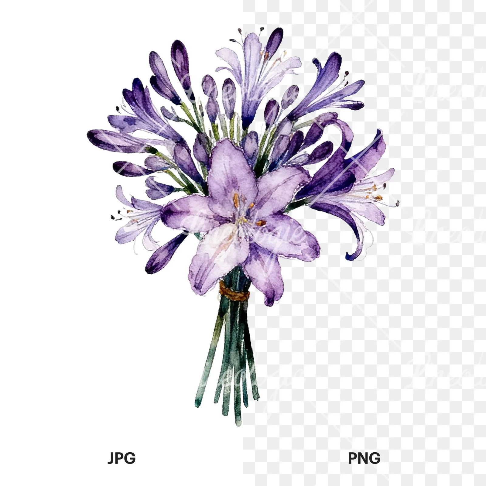 Watercolor white purple lily bouquet with agapanthus clipart 8 of 9, as a JPG on white and a transparent PNG