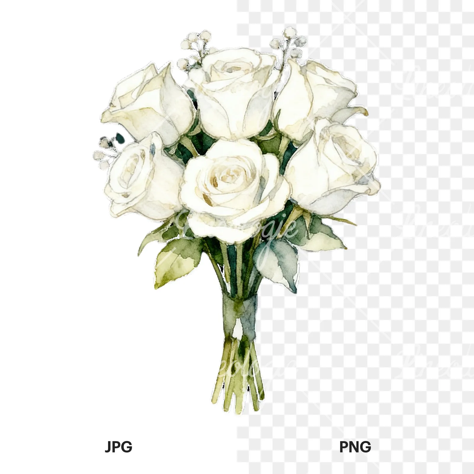 Watercolor white rose bouquet with flowers clipart 5 of 9, as a JPG on white and a transparent PNG