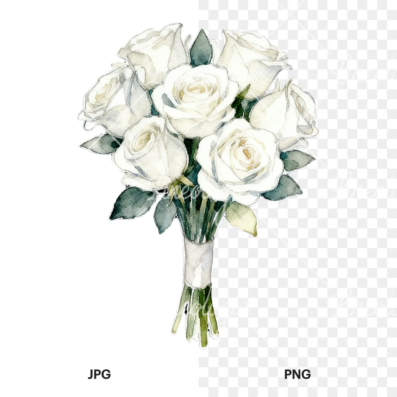 Watercolor white rose bouquet with flowers clipart 7 of 9, as a JPG on white and a transparent PNG