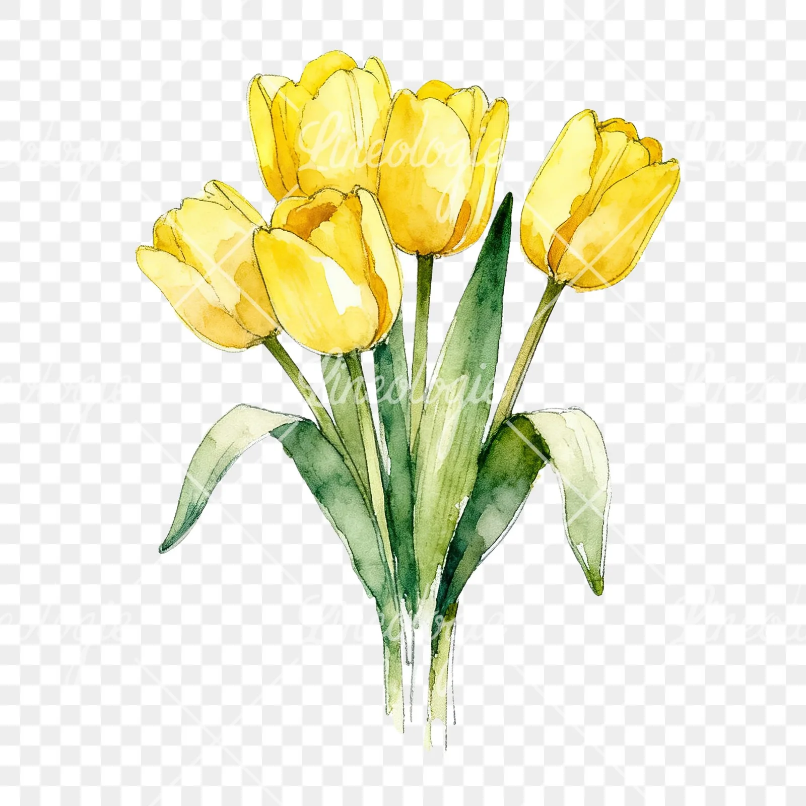 Watercolor loose yellow tulip bouquet clipart 6 of 9 on a transparent background (PNG)