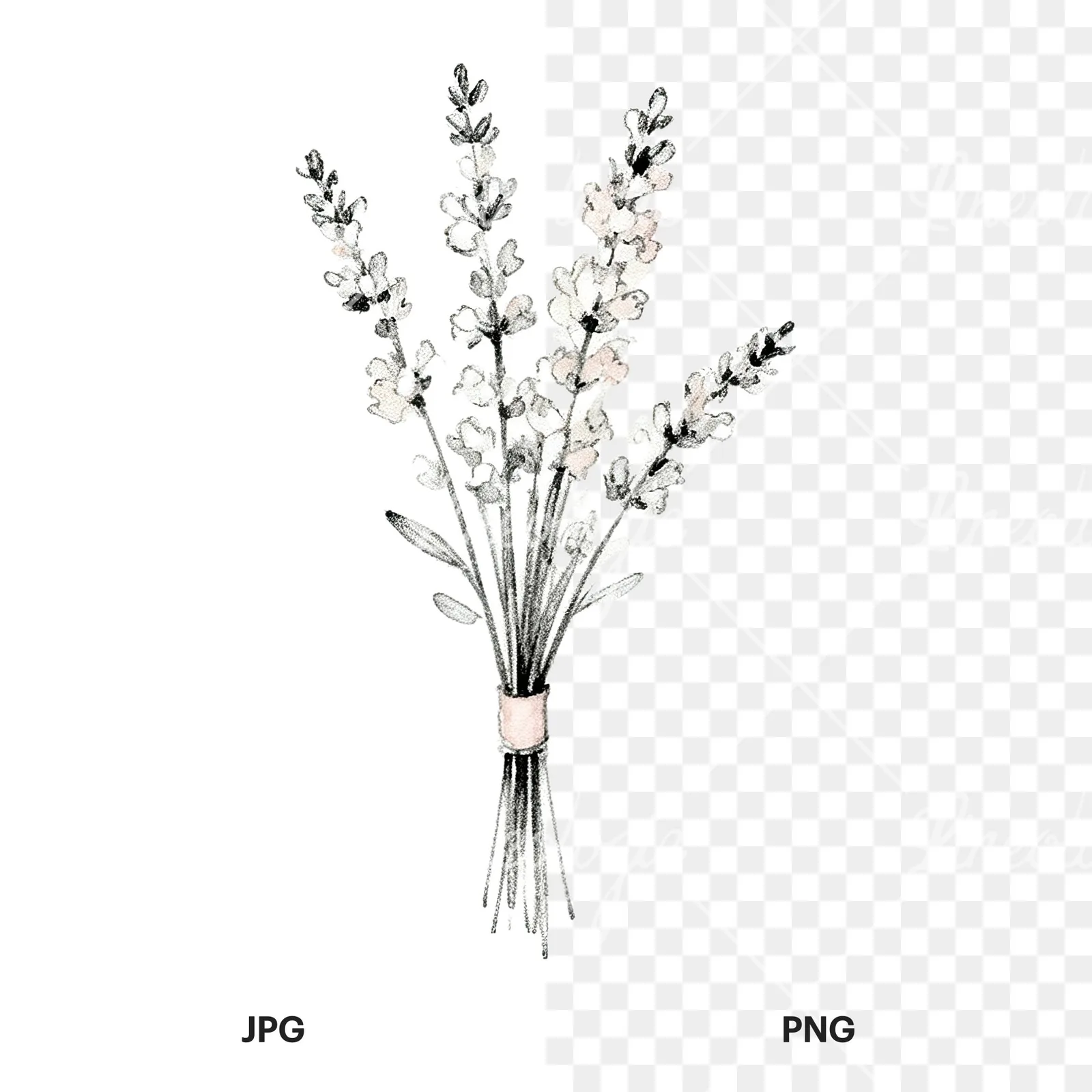 Watercolor white and pale pink wedding bouquet with lavender clipart 2 of 9, as a JPG on white and a transparent PNG