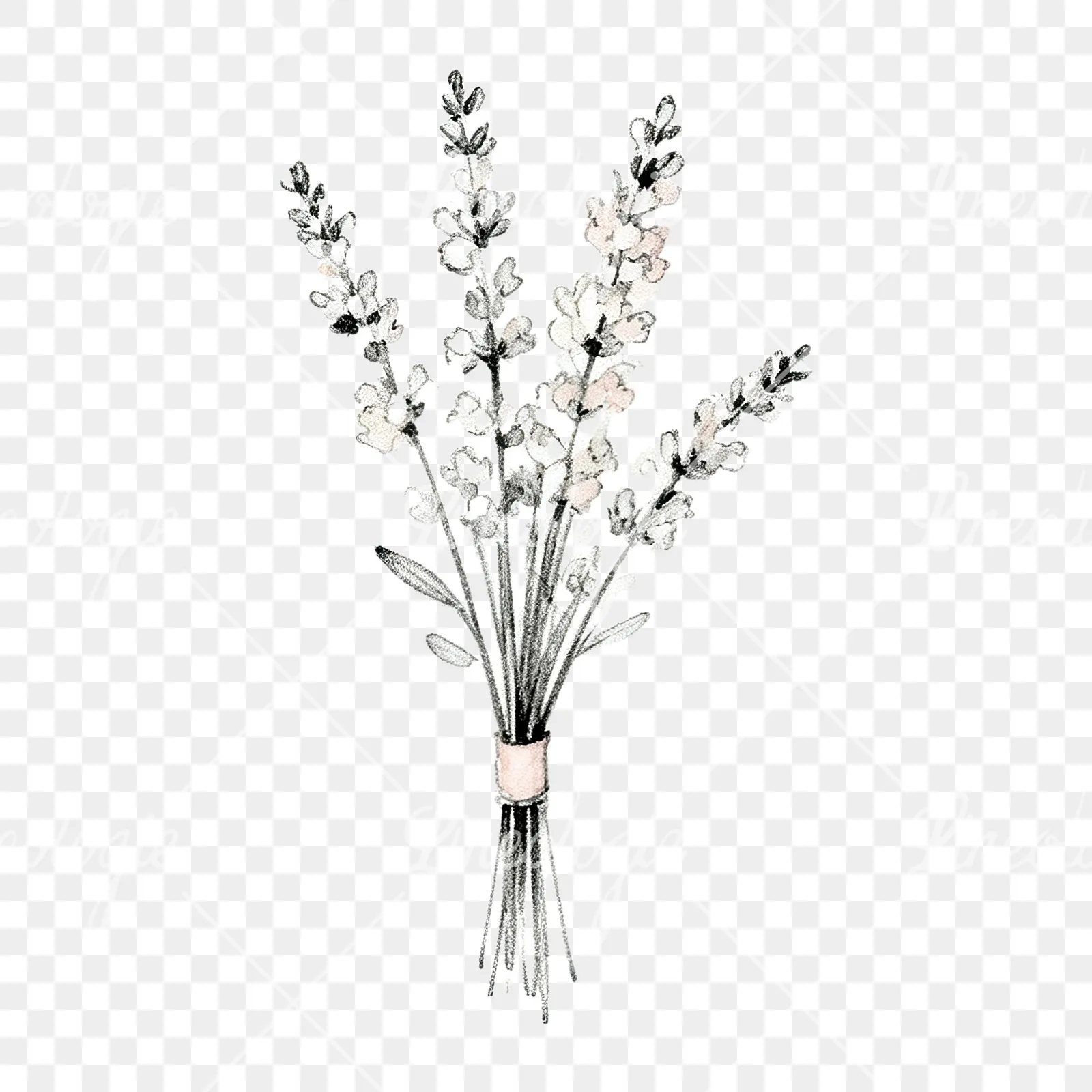 Watercolor white and pale pink wedding bouquet with lavender clipart 2 of 9 on a transparent background (PNG)