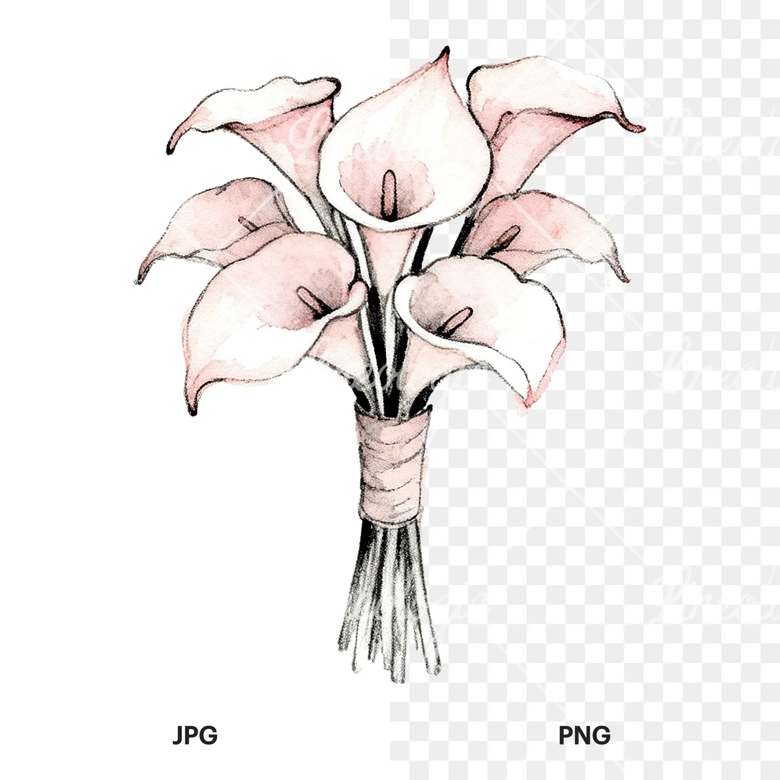 Watercolor white and pale pink wedding bouquet with lavender clipart 5 of 9, as a JPG on white and a transparent PNG