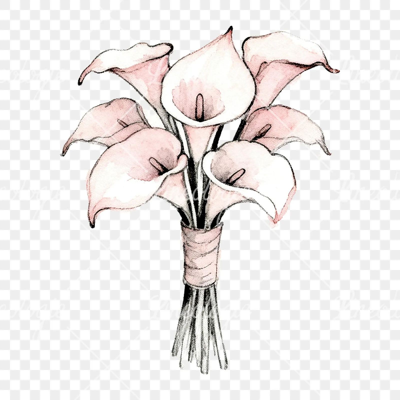 Watercolor white and pale pink wedding bouquet with lavender clipart 5 of 9 on a transparent background (PNG)