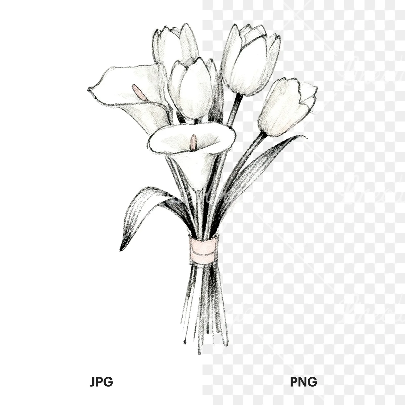 Watercolor white and pale pink wedding bouquet with lavender clipart 8 of 9, as a JPG on white and a transparent PNG