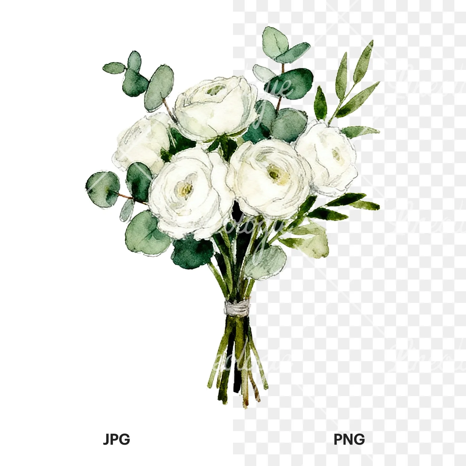 Watercolor white green wedding bouquets eucalyptus clipart 4 of 9, as a JPG on white and a transparent PNG