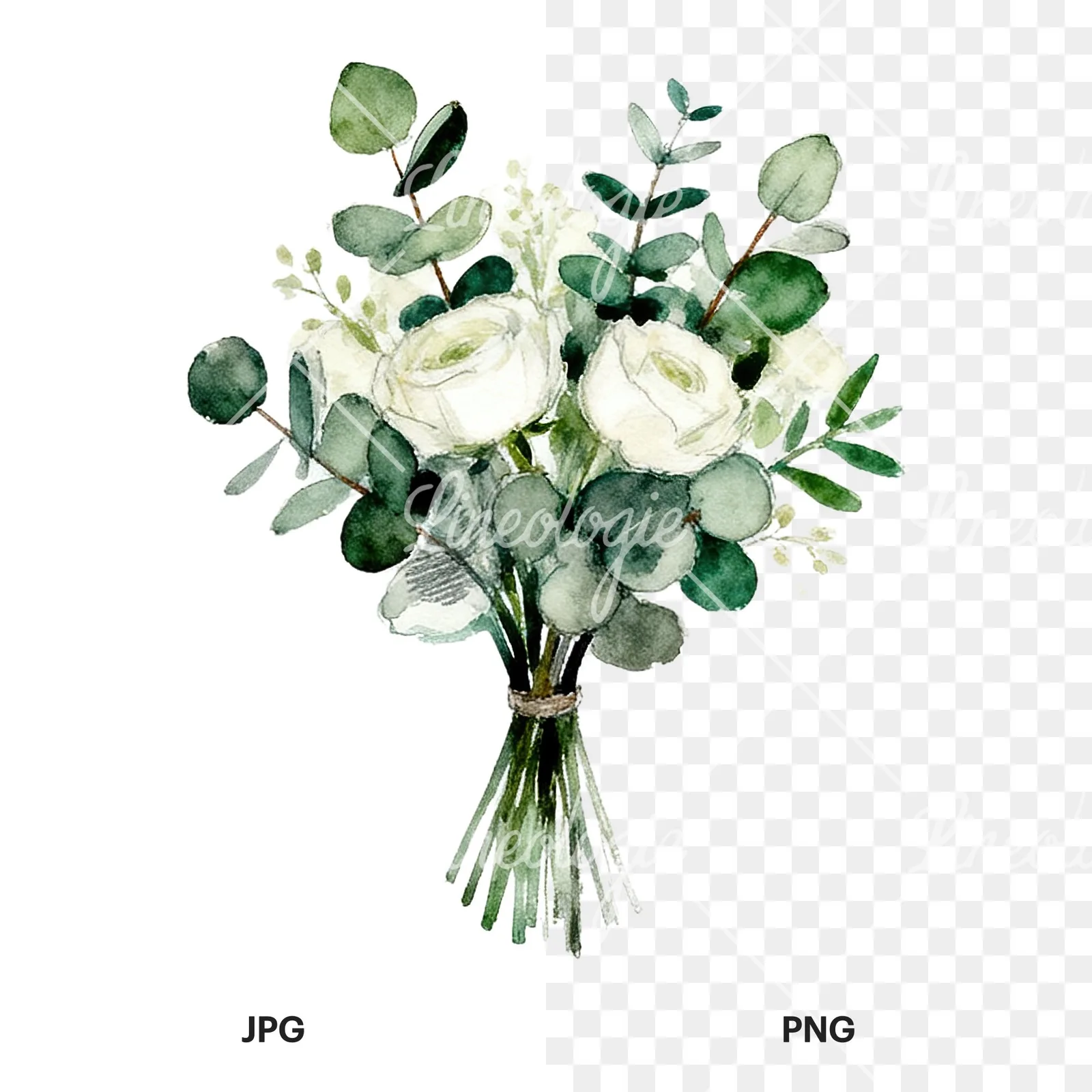 Watercolor white green wedding bouquets eucalyptus clipart 5 of 9, as a JPG on white and a transparent PNG