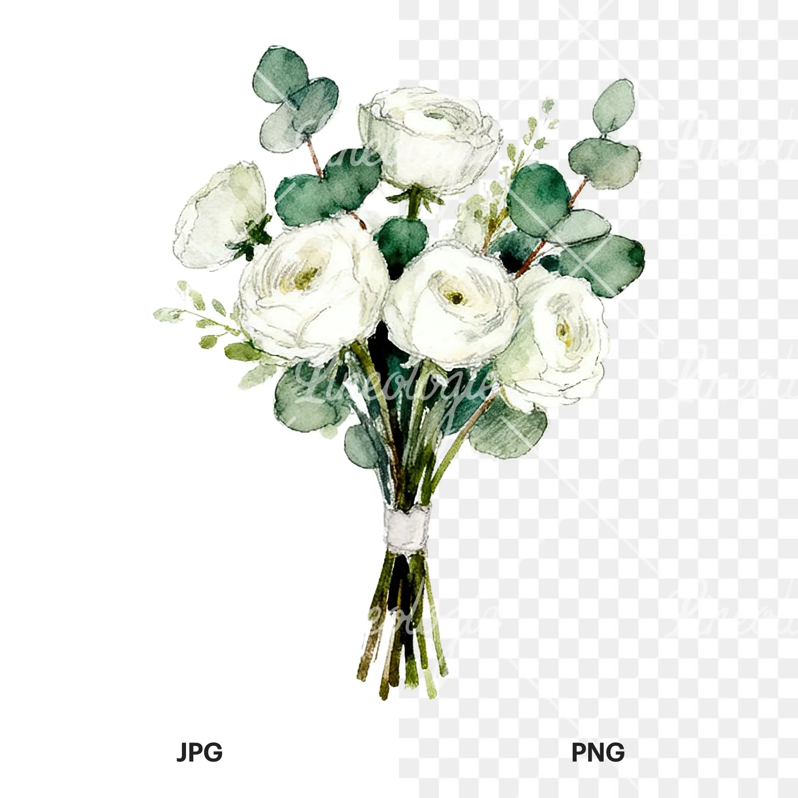 Watercolor white green wedding bouquets eucalyptus clipart 7 of 9, as a JPG on white and a transparent PNG