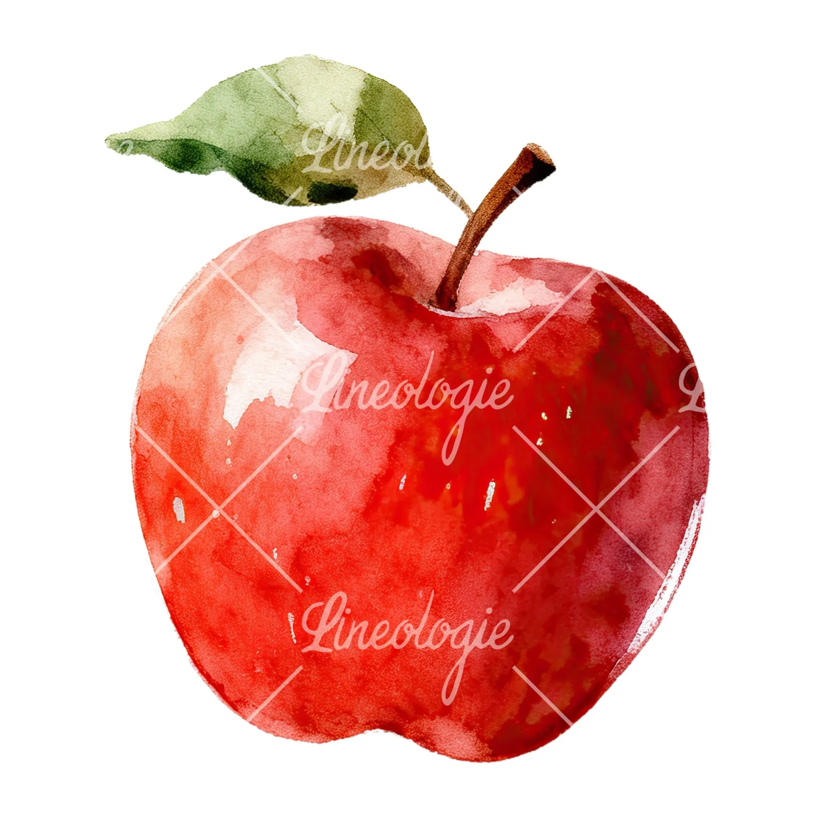 Watercolor apple and branch clipart 2 of 12 on a white background (JPG)