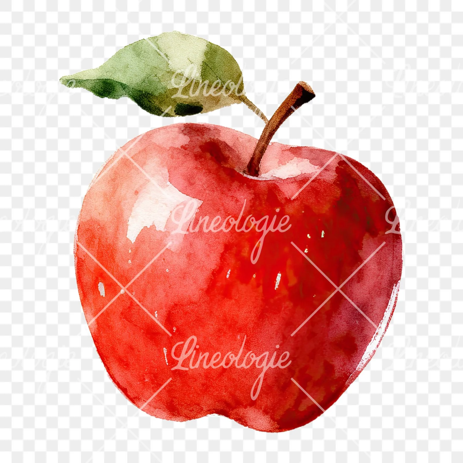 Watercolor apple and branch clipart 2 of 12 on a transparent background (PNG)