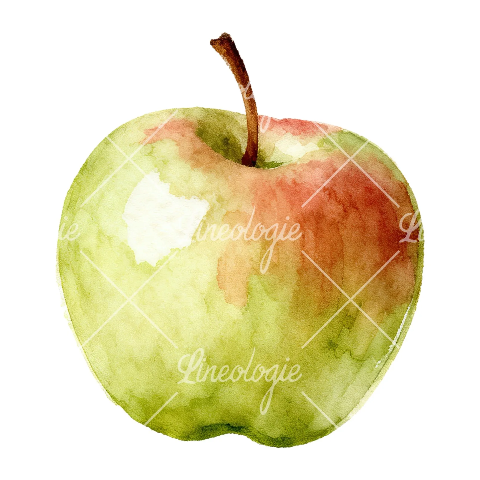 Watercolor apple and branch clipart 8 of 12 on a white background (JPG)