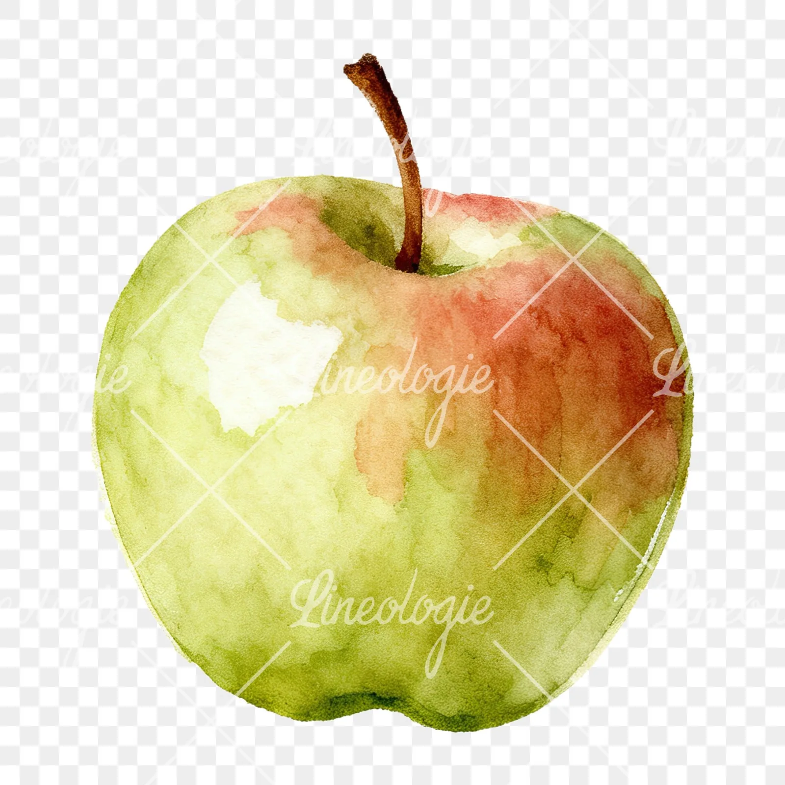 Watercolor apple and branch clipart 8 of 12 on a transparent background (PNG)