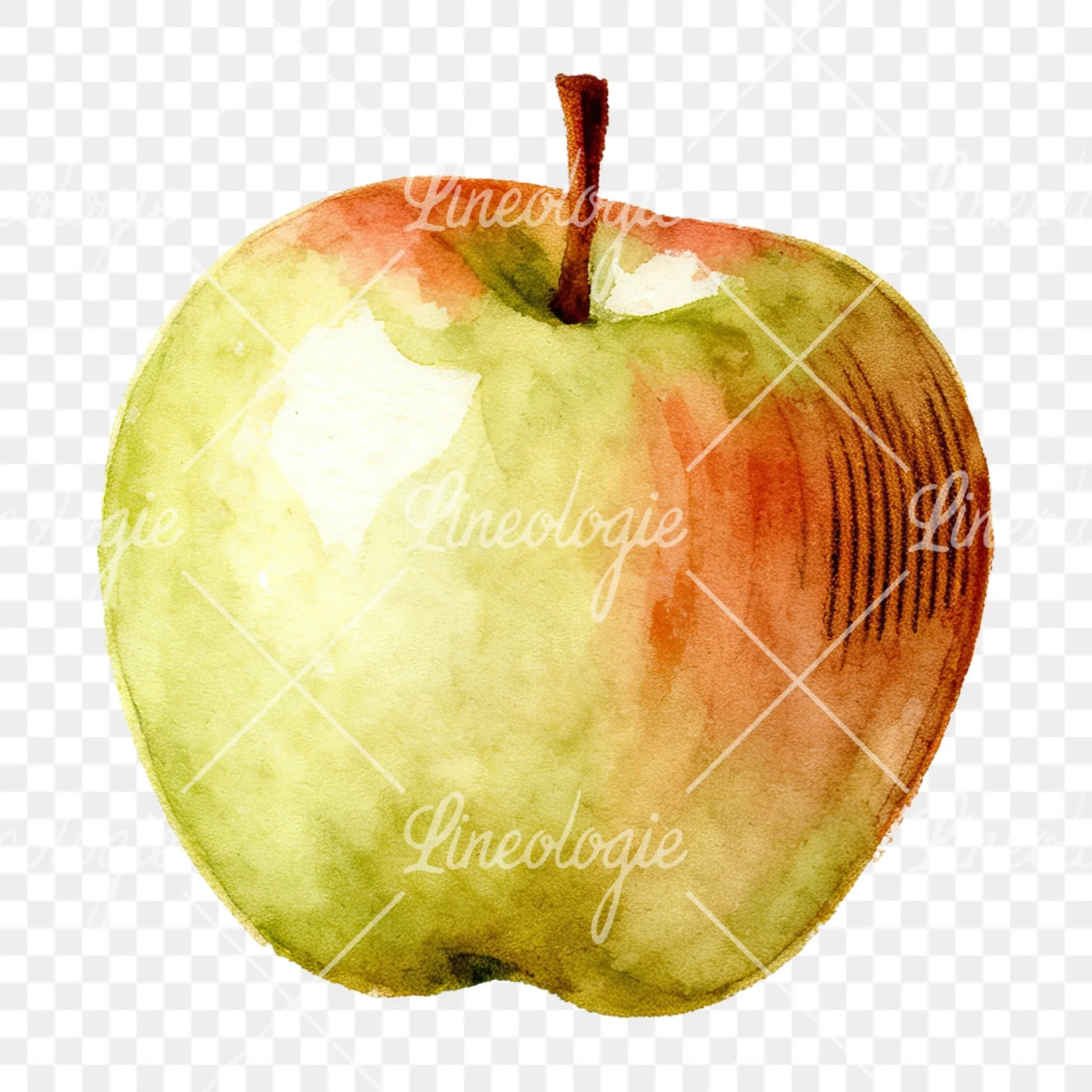 Watercolor apple and branch clipart 9 of 12 on a transparent background (PNG)