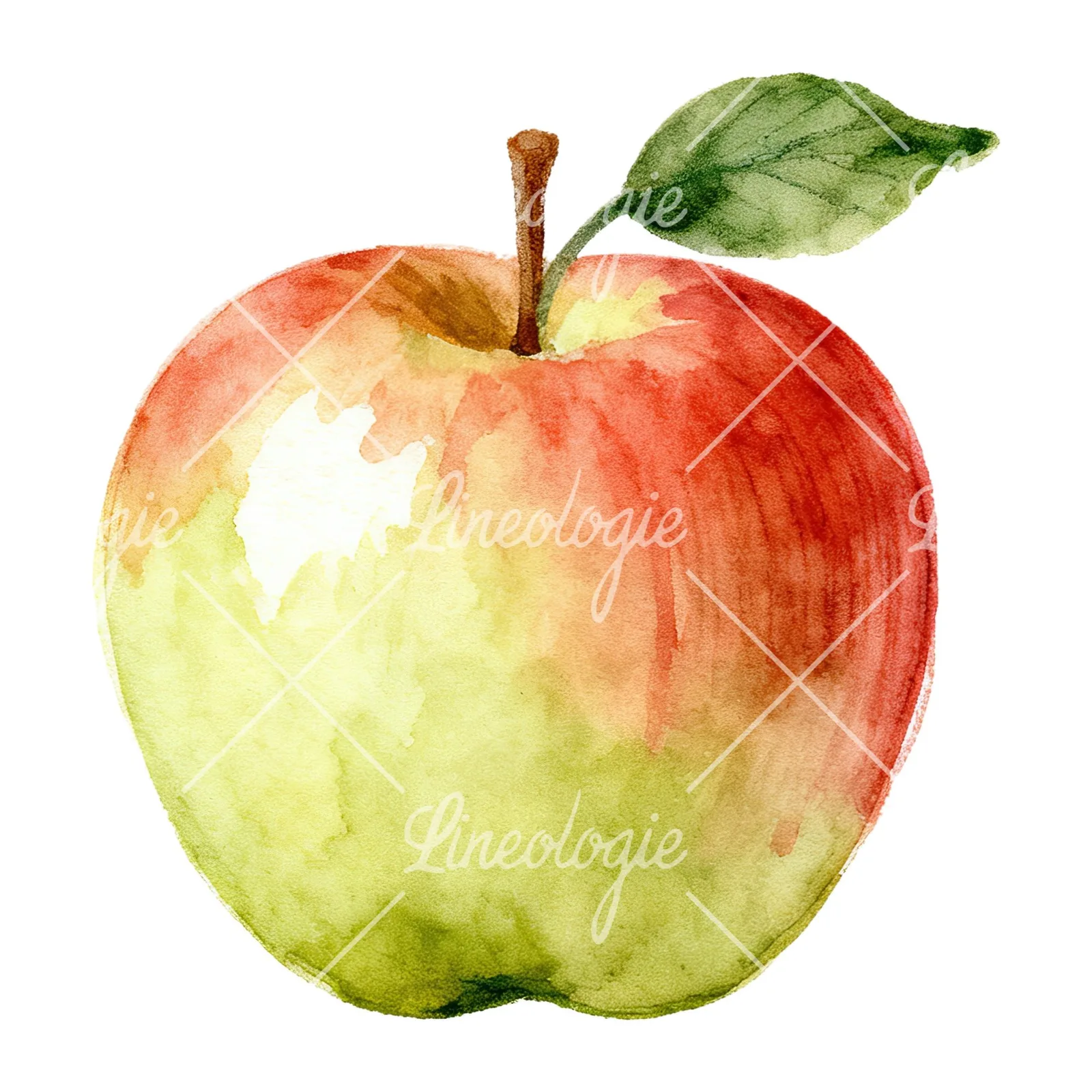 Watercolor apple and branch clipart 11 of 12 on a white background (JPG)