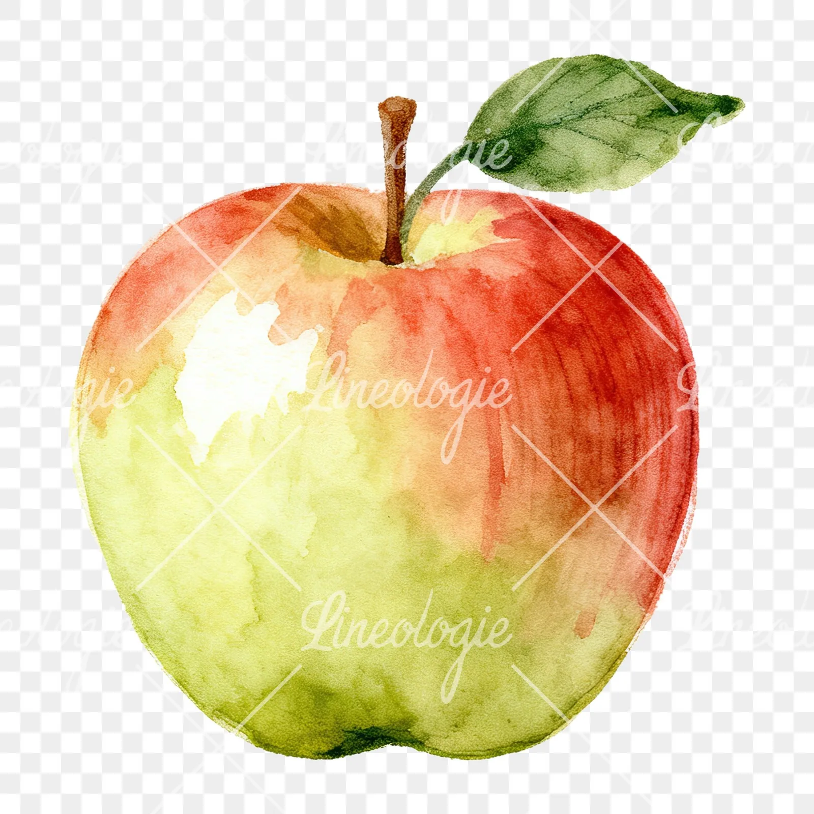 Watercolor apple and branch clipart 11 of 12 on a transparent background (PNG)