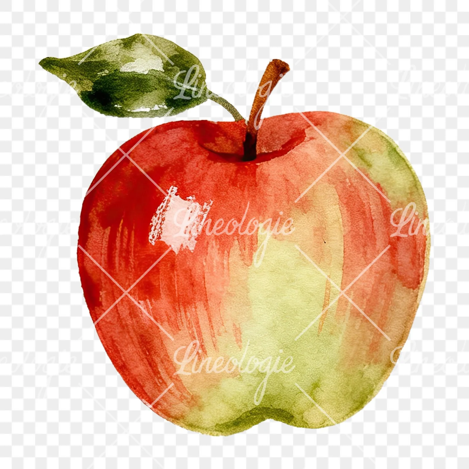 Watercolor apple branch clipart 1 of 14 on a transparent background (PNG)