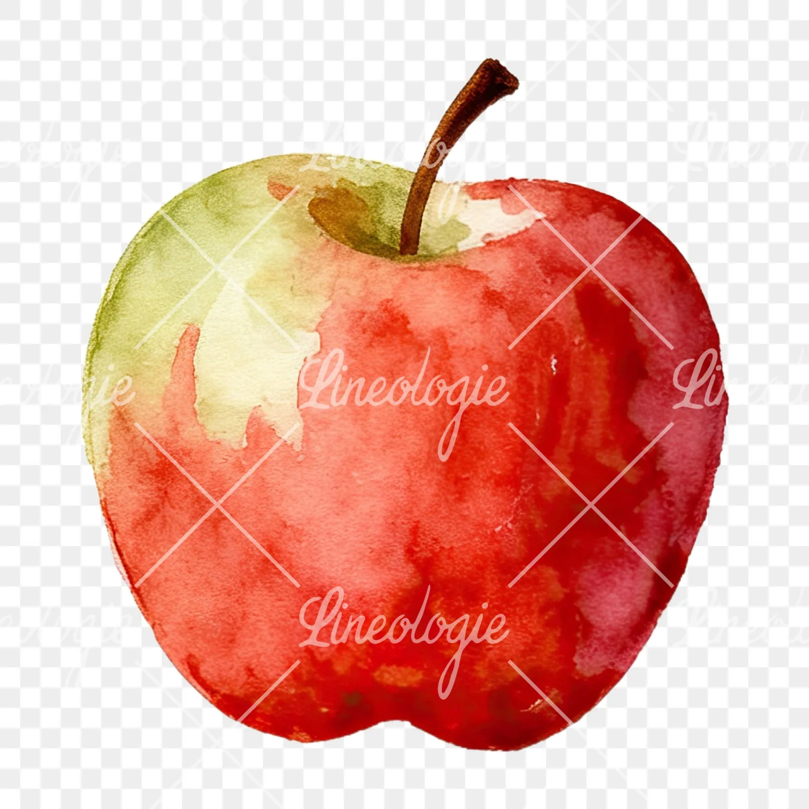 Watercolor apple branch clipart 2 of 14 on a transparent background (PNG)