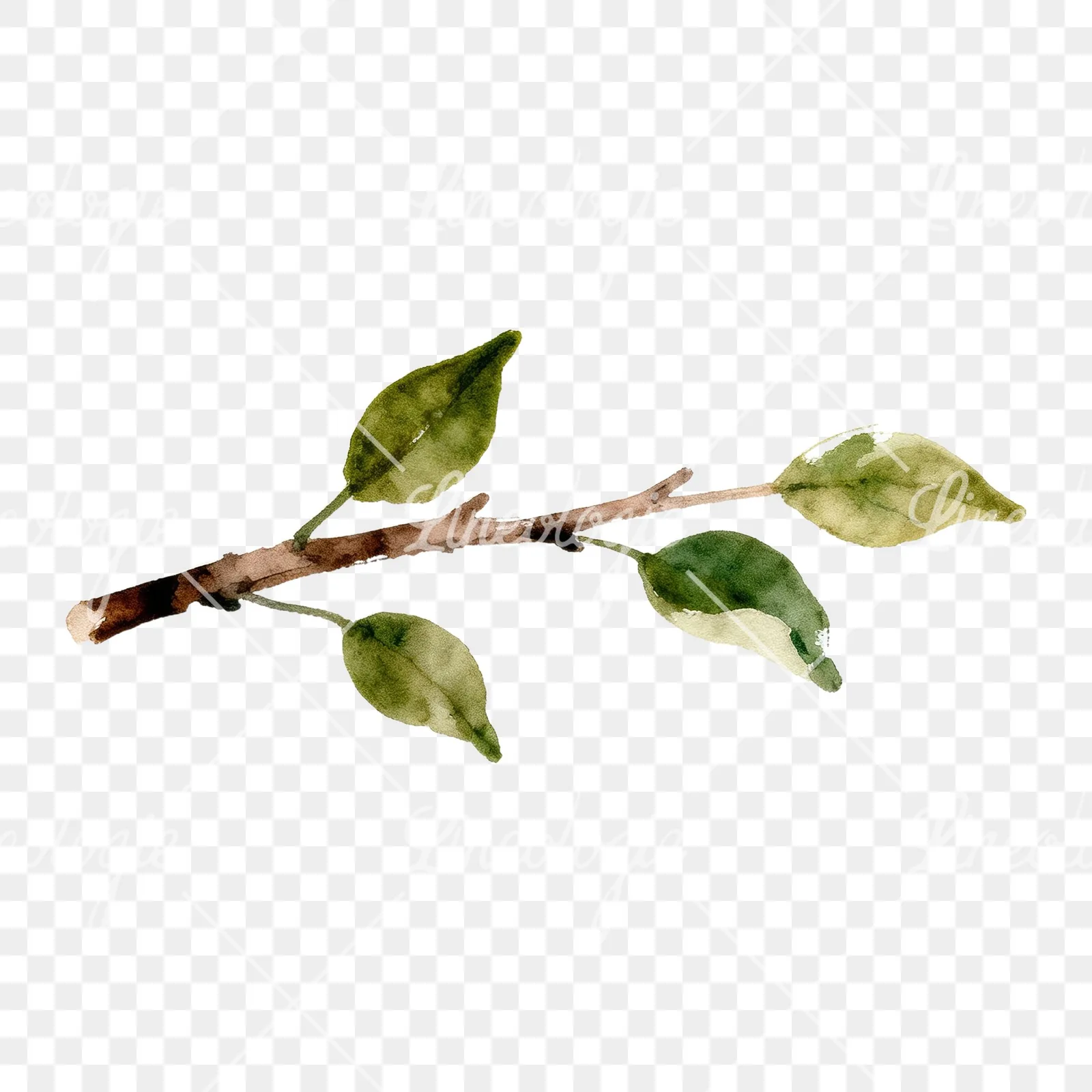 Watercolor apple branch clipart 4 of 14 on a transparent background (PNG)