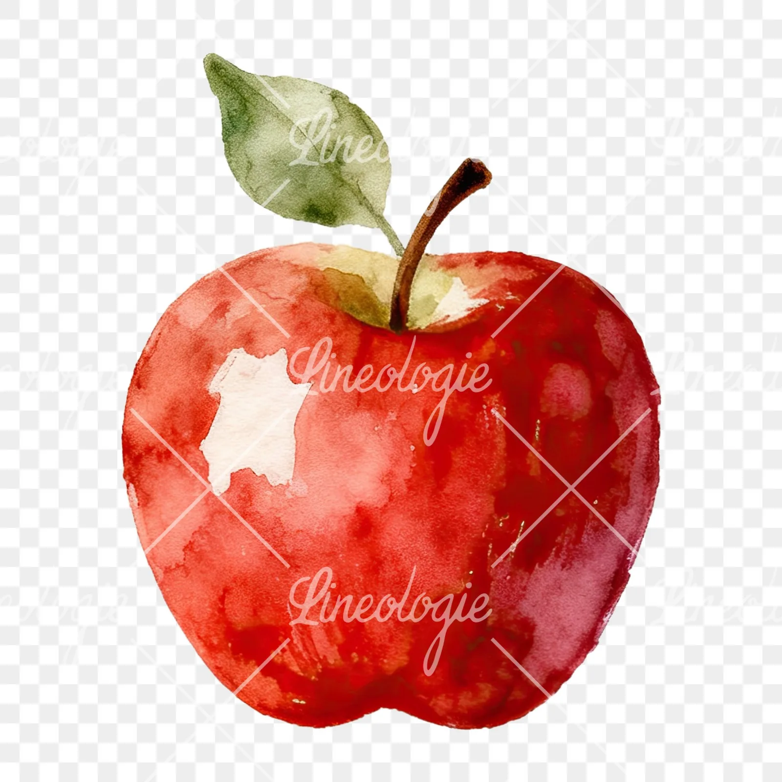 Watercolor apple branch clipart 7 of 14 on a transparent background (PNG)