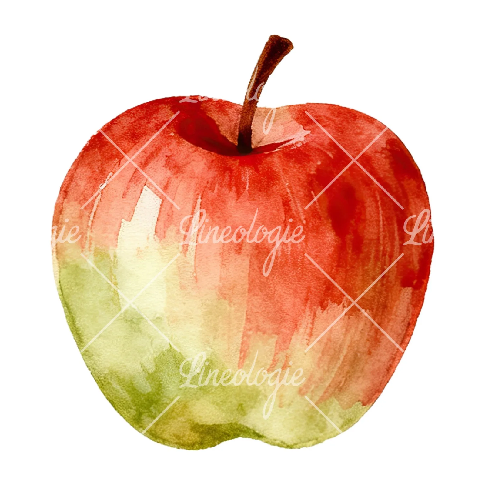 Watercolor apple branch clipart 9 of 14 on a white background (JPG)