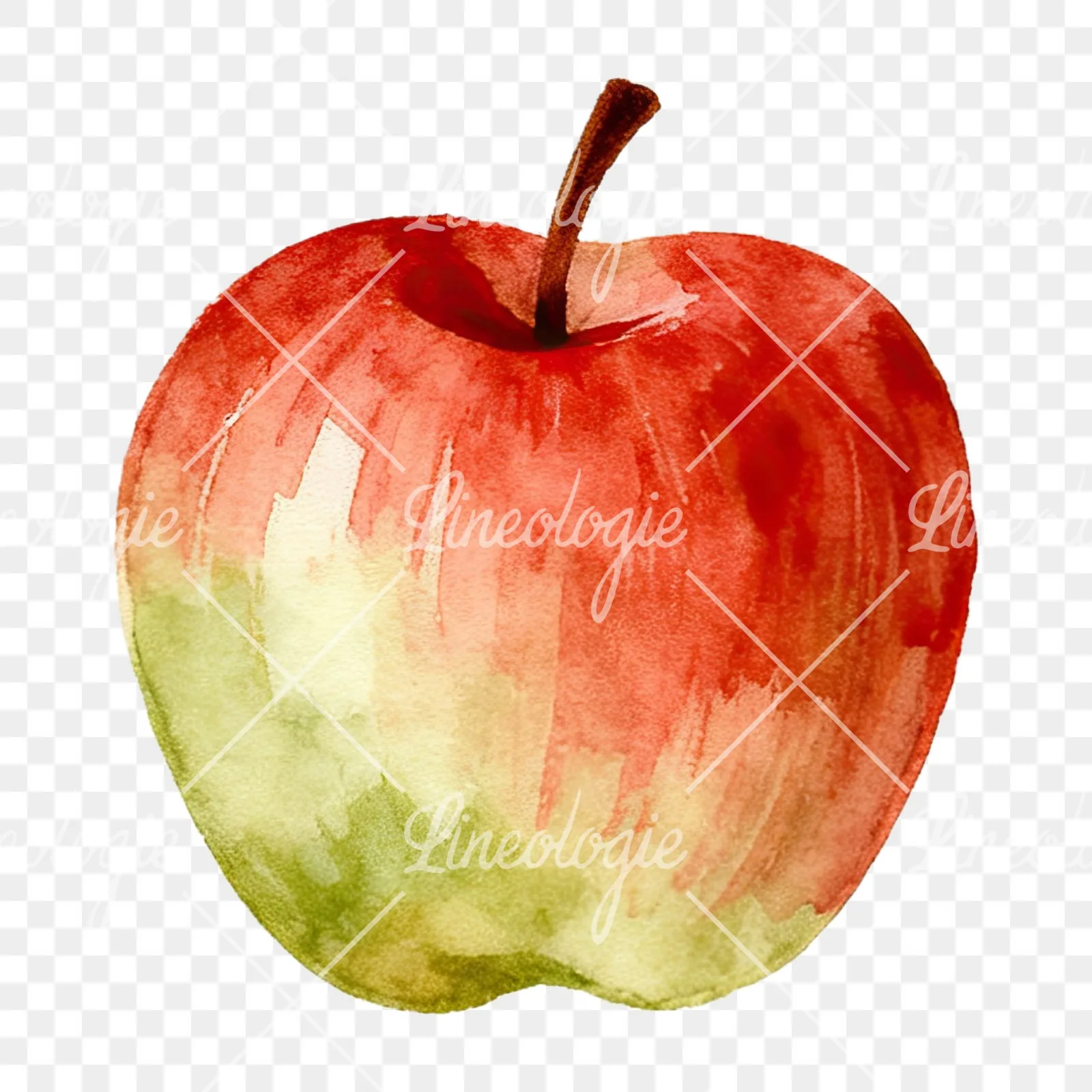 Watercolor apple branch clipart 9 of 14 on a transparent background (PNG)