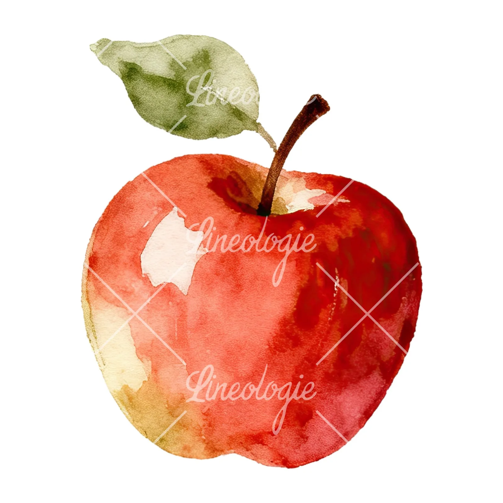 Watercolor apple branch clipart 11 of 14 on a white background (JPG)