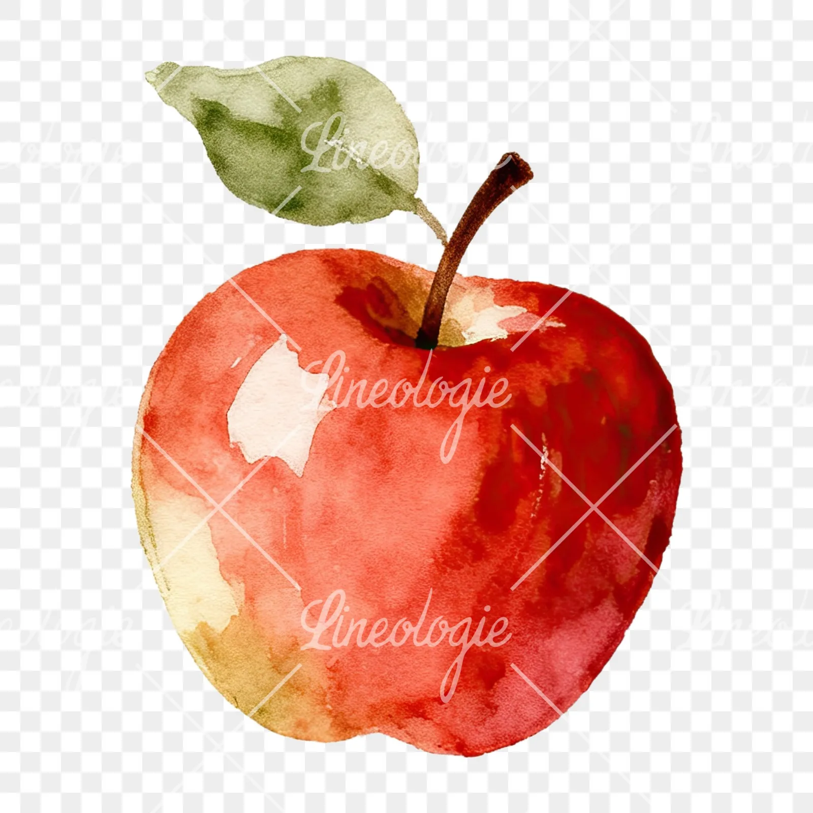 Watercolor apple branch clipart 11 of 14 on a transparent background (PNG)